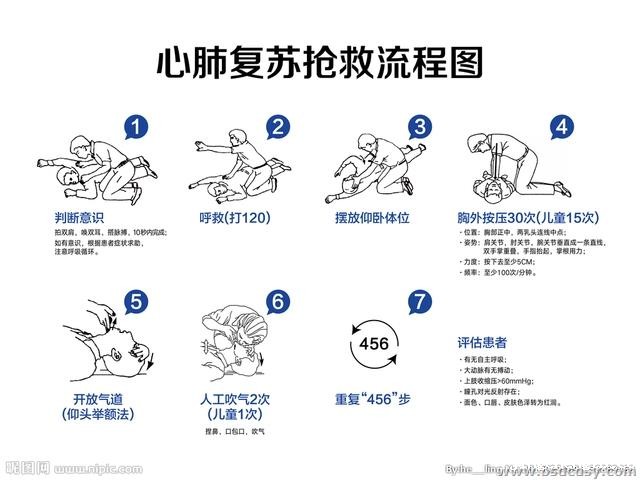 心肺复苏流程图.jpg